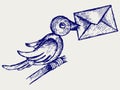 Postal pigeon