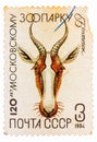 Postal stamp printed in USSR shows a Gazelle