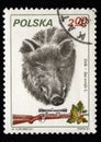 Postal stamp about wild boar. Postal stamp about forest animal. Hunting Royalty Free Stock Photo