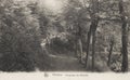 Postcard from around 1900 showing the Promenade des RÃÂ©collets walkway in Verviers Royalty Free Stock Photo