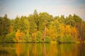 Postcard with autumn forest trees and lake. Nature green wood su Royalty Free Stock Photo