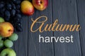 Postcard autumn harvest on a gray wooden background with fruits of peach, grape, apples. Flat lay, top view.