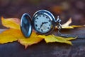 The clock on the autumn leaf