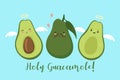 Postcard with avocado. Holy Guacamole Vector graphics