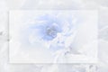 Postcard blank. White flower rectangular transparent frame. Place for text