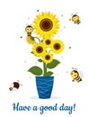 Postcard bouquet of sunflowers in a blue vase and four cute bees on a white background. Vector illustration, cartoon