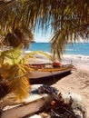 Postcard of the Caribbean Sea under coconut trees