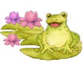 A postcard with the character of a cheerful frog on the leaves of a water lily Royalty Free Stock Photo