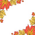 Postcard with colorful autumn leaves. Frame of autumn leaves wit