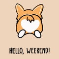 Postcard corgi dog with letter hello weekend Cute orange redhead welsh corgi vector cartoon sticker illustration isolated on