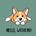 Postcard corgi dog with letter hello weekend Cute orange redhead welsh corgi vector cartoon sticker illustration