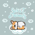 Postcard corgi dog with letter sweet dreams Cute orange redhead welsh corgi vector cartoon sticker illustration isolated on