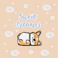 Postcard corgi dog with letter sweet dreams Cute orange redhead welsh corgi vector cartoon sticker illustration isolated