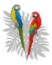 Postcard couple of exotic macaw parrots