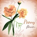 Postcard depicting peony flowerÃÅ