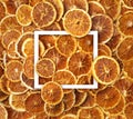 Postcard. Dried oranges with white leaf. Christmas background