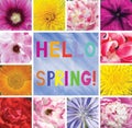 Postcard with flowers and the words Spring greetings. Hello Spring.