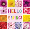 Postcard with flowers and the words Spring greetings. Hello Spring.