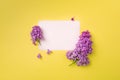 Postcard with fresh splendid lilac flowers and empty tag for your text on yellow background