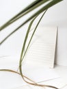 Postcard greeting card mockup with blade of grass on white background minimalism Royalty Free Stock Photo