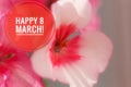 Postcard Happy March 8. Greeting card for the holiday. International Women`s Day. Holiday for girls Royalty Free Stock Photo