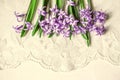 Postcard with lilac hyacinths lying top