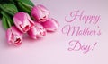 Postcard for Mother`s Day. Bouquets pink tulips on pink background. Greeting card. Banner. Close-up