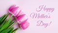 Postcard for Mother`s Day. Bouquets pink tulips on pink background. Greeting card. Banner. Close-up. Top view