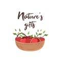 Postcard nature\'s gifts. Basket with fruit, apples. Flat postcard, print on a white background