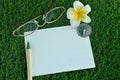 Postcard, pen, glasses, compass and frangipani on grass