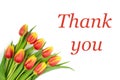 Postcard on it Red Yellow tulips on a White background and the text THANK YOU in Red letters.