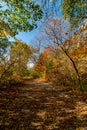 Postcard of the river side - Beautiful fall in Central Canada