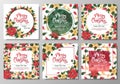 Postcard set with red and yellow poinsettia. Christmas and New Year background. Winter plants for decorating invitations Royalty Free Stock Photo