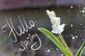 Postcard with a snowdrop and the inscription Hello spring in the style of a sketch on the photo Royalty Free Stock Photo