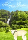 Postcard with a sunny water fall on a bright summer day with a sweet lamb and a beautiful blue sky collage with happy easter text