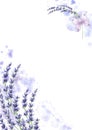 Postcard template with purple lavender flowers, butterfly and delicate watercolor stains. Watercolor frame from Provence Royalty Free Stock Photo