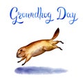 Postcard to the Groundhog Day. Running groundhog and its shadow