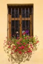 Postcard Window with flowers in Sighisoara Romania Royalty Free Stock Photo