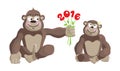 Postcard Year of the Monkey 2016.