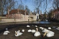 Postcards of Bruges beguinage 6 Royalty Free Stock Photo