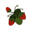 Three red strawberries with leaves and flowers isolated on white, digital illustration in papercut style Royalty Free Stock Photo