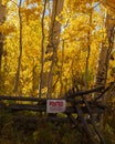 Posted Trespassing Sign With Fall Aspen Tree Backdrop in Colorado. Royalty Free Stock Photo