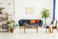 Poster above blue settee in white apartment interior with armchair, wooden table and plants. Real photo