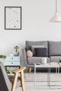 Poster above cabinet next to grey couch in living room interior Royalty Free Stock Photo