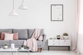 Poster above cabinet with plants in white flat interior with pin Royalty Free Stock Photo