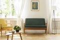 Poster above green bench between lamp and yellow armchair in vintage living room interior. Real photo Royalty Free Stock Photo