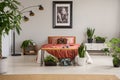 Poster above red bed with blanket in grey bedroom interior with plants and carpet