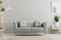 Poster above white cabinet with plant next to grey sofa in simple living room interior. Real photo Royalty Free Stock Photo
