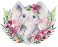 A poster with a baby elephant. Watercolor cartoon elephant tropical animal illustration. Jungle exotic summer print. Royalty Free Stock Photo