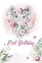 A poster with a baby elephant. Watercolor cartoon elephant tropical animal illustration. Jungle exotic summer print.